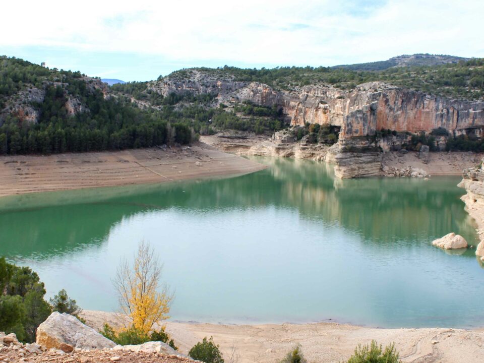 Concluye el proceso de traslocación de peces y náyades