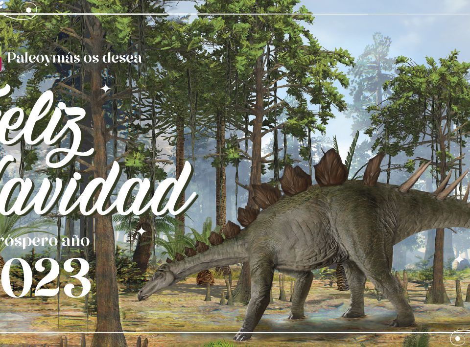 Noticia Navidad 2022