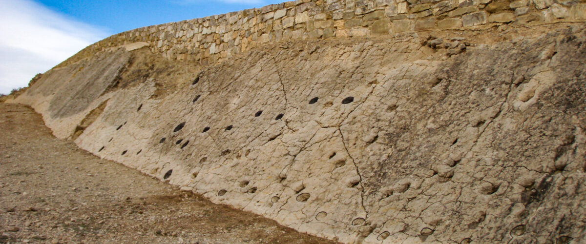 Yacimiento La Fondota de Abiego (Huesca)