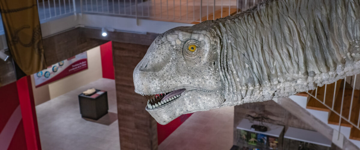 Museo Paleontológico de Galve