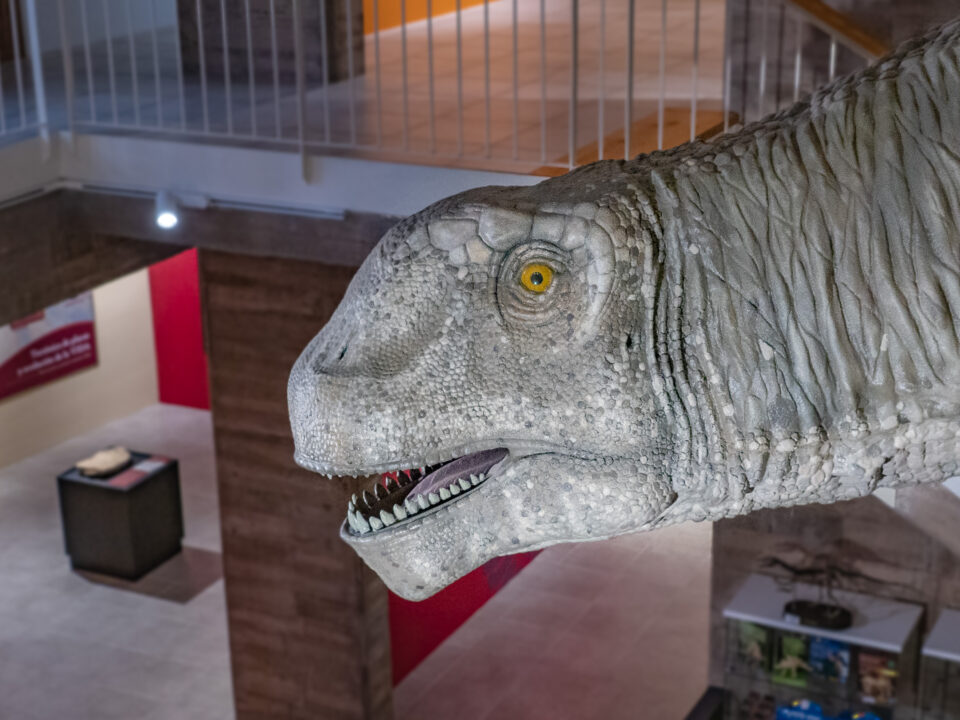 Museo Paleontológico de Galve