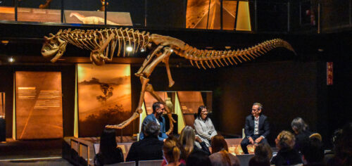 Presentación de la exposición "Dinosaurios de la Patagonia