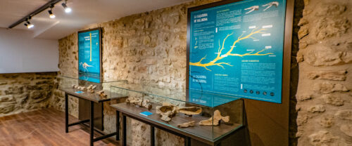 Espacio interpretativo Vallibonavenatrix cani