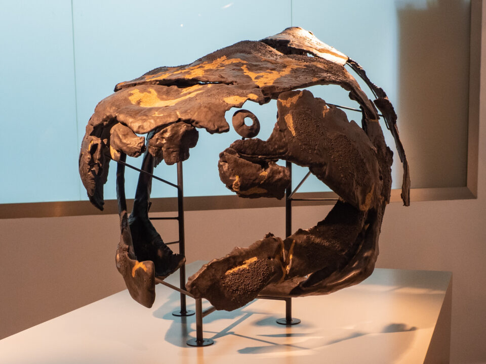 pez placodermo primitivo