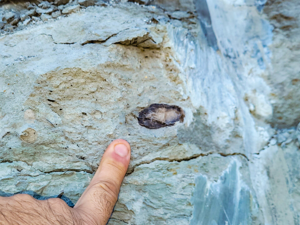 ámbar La Dehesa, Estercuel