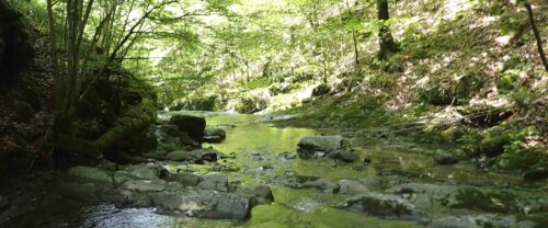 Remanso de agua próximo al embalse de Iragua