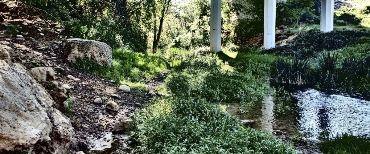 Zona de corriente tranquila de agua en el barranco Sarrón