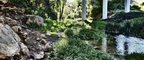 Zona de corriente tranquila de agua en el barranco Sarrón