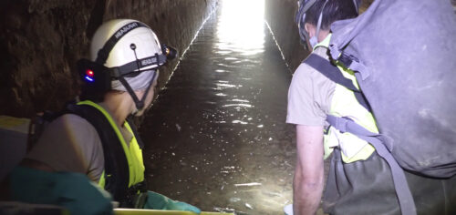 Dos técnicos dentro de un túnel preparados para realizar la técnica de pesca eléctrica