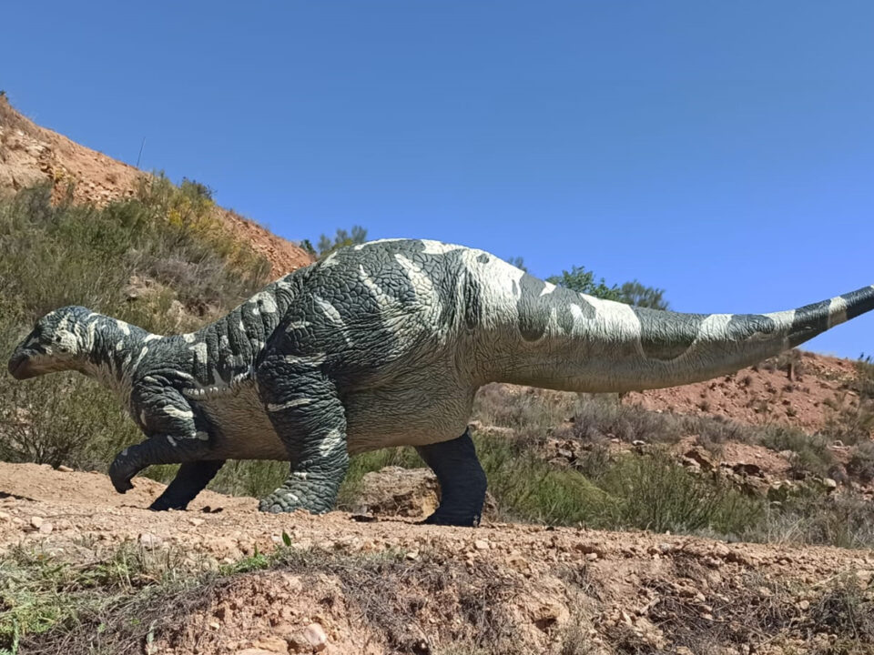 Aris - reparación iguanodón Villanueva - Museo Conca Dellá Isona