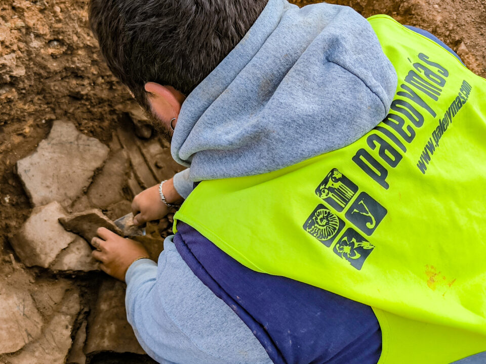 Excavación arqueológica Trévago