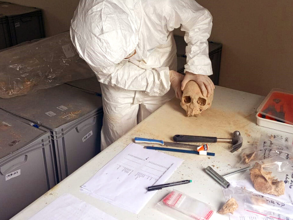 Ampliación estudio genético Mqbara Tauste