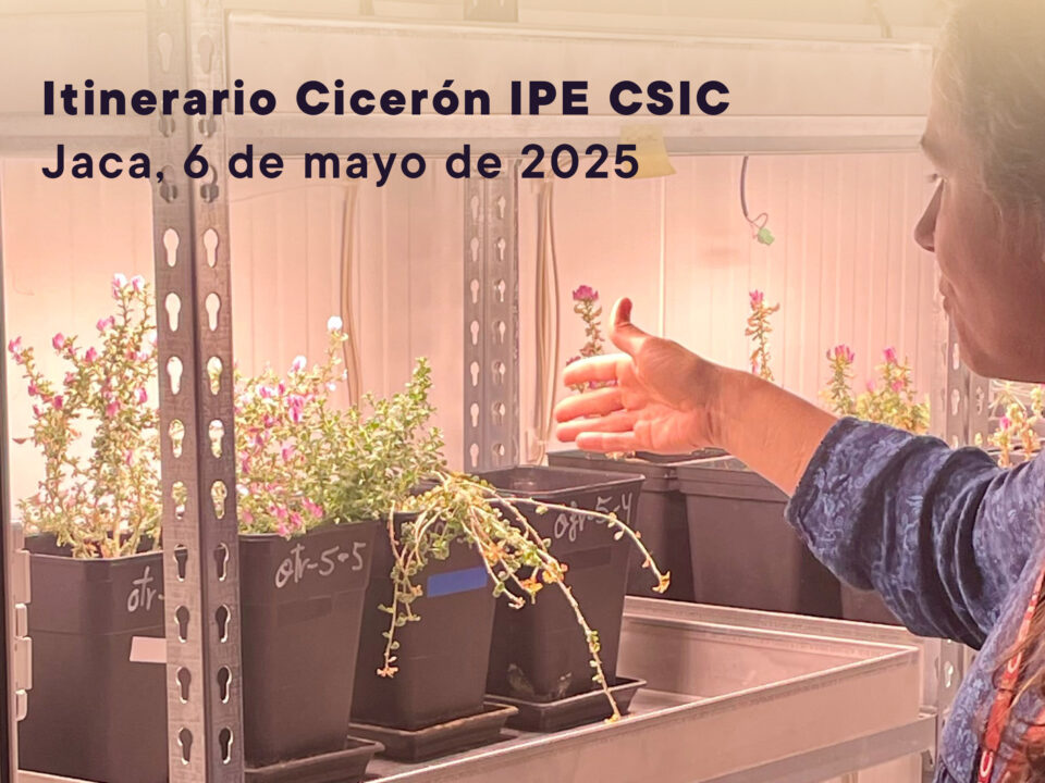 Plantas extremófilas en el IPE