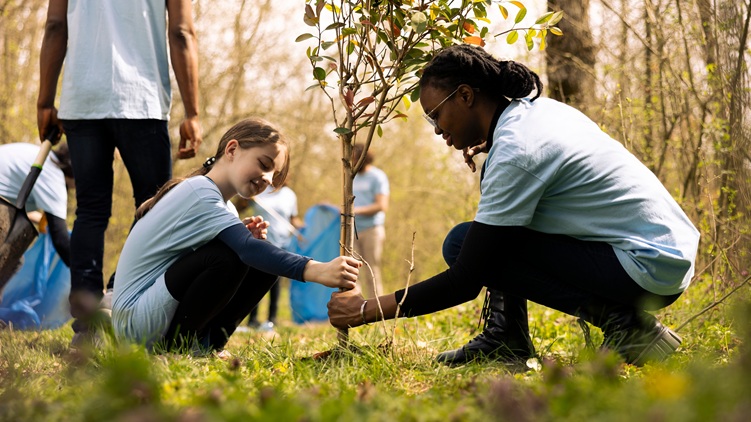 Actividades de educación ambiental