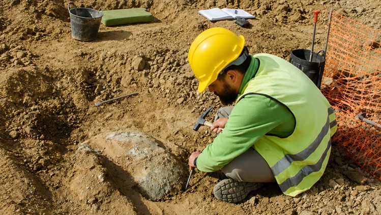 Apoyo en Excavaciones arqueológicas y paleontológicas