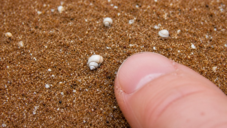 Detección y caracterización de biodiversidad