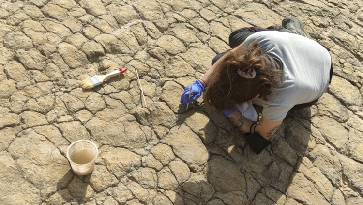 Estudios de consolidación y restauración de yacimientos arqueológicos y paleontológicos