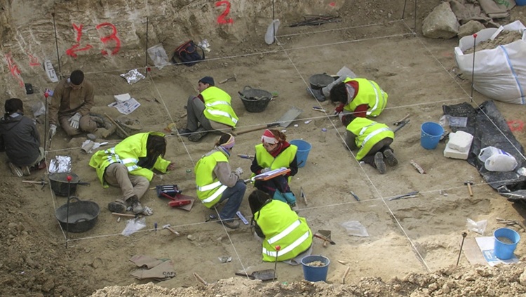 Excavaciones y rescates paleontológicos / arqueológicos de urgencia