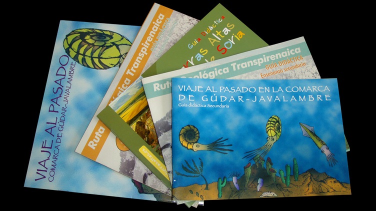 Fichas y guías didácticas