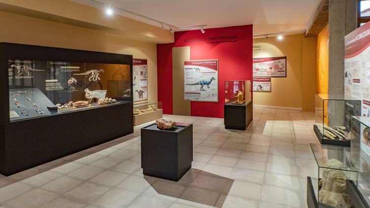 Proyectos expositivos y museográficos