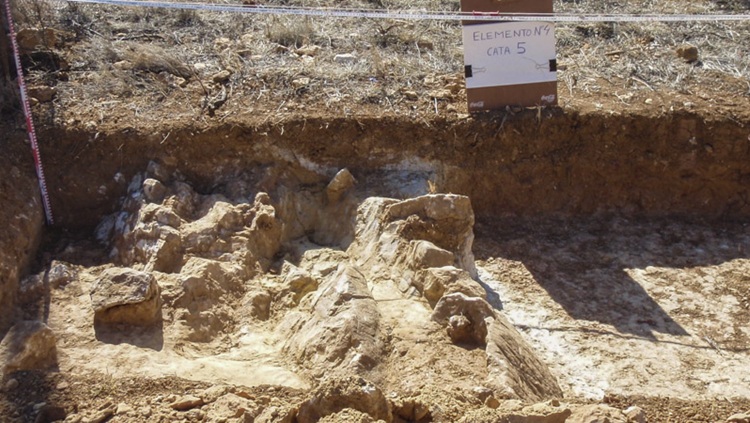 Sondeos y catas arqueológicos y paleontológicas