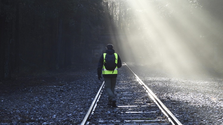 Vigilancia ambiental tras la finalización de la obra