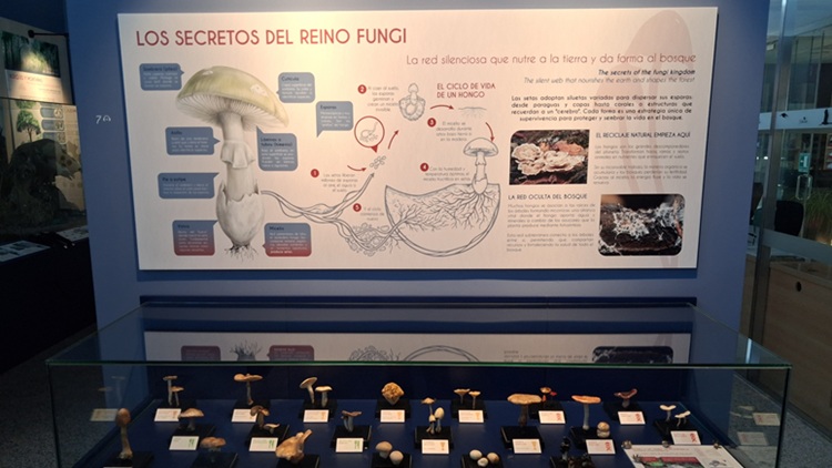 Creación de contenidos expositivos