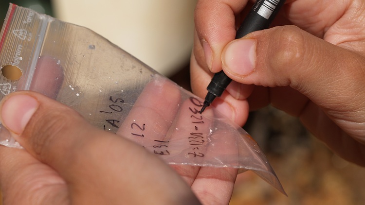 Trabajos de laboratorio arqueológico - paleontológico