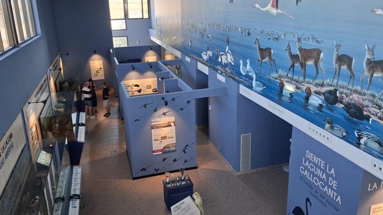 Museos y exposiciones