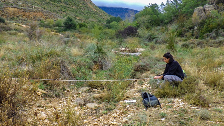 Prospecciones de flora y fauna