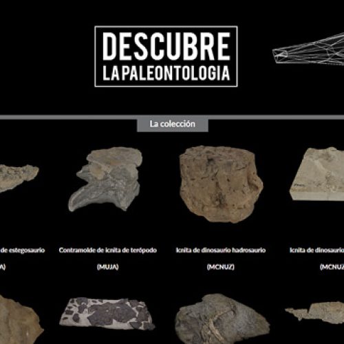 Portada de la web 3dpaleonet