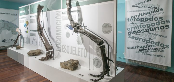 Centro Paleontológico de Enciso
