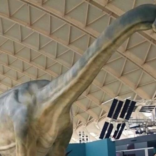 Reproducción de Losillaurus producida por Paleoymás e instalada en la Ciudad de las Artes y las Ciencias de Valencia